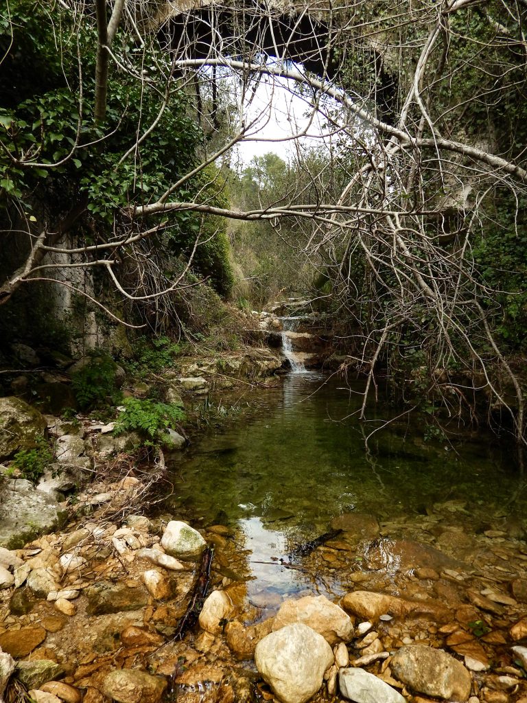 Esplorambiente Scicli Cava San Leonardo (foto Roberta Ficili)