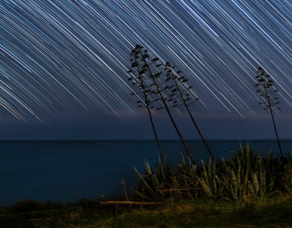 Startrail sulle Agavi